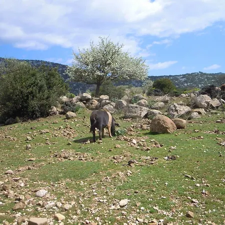 Verde Apartmán Santa Maria Navarrese